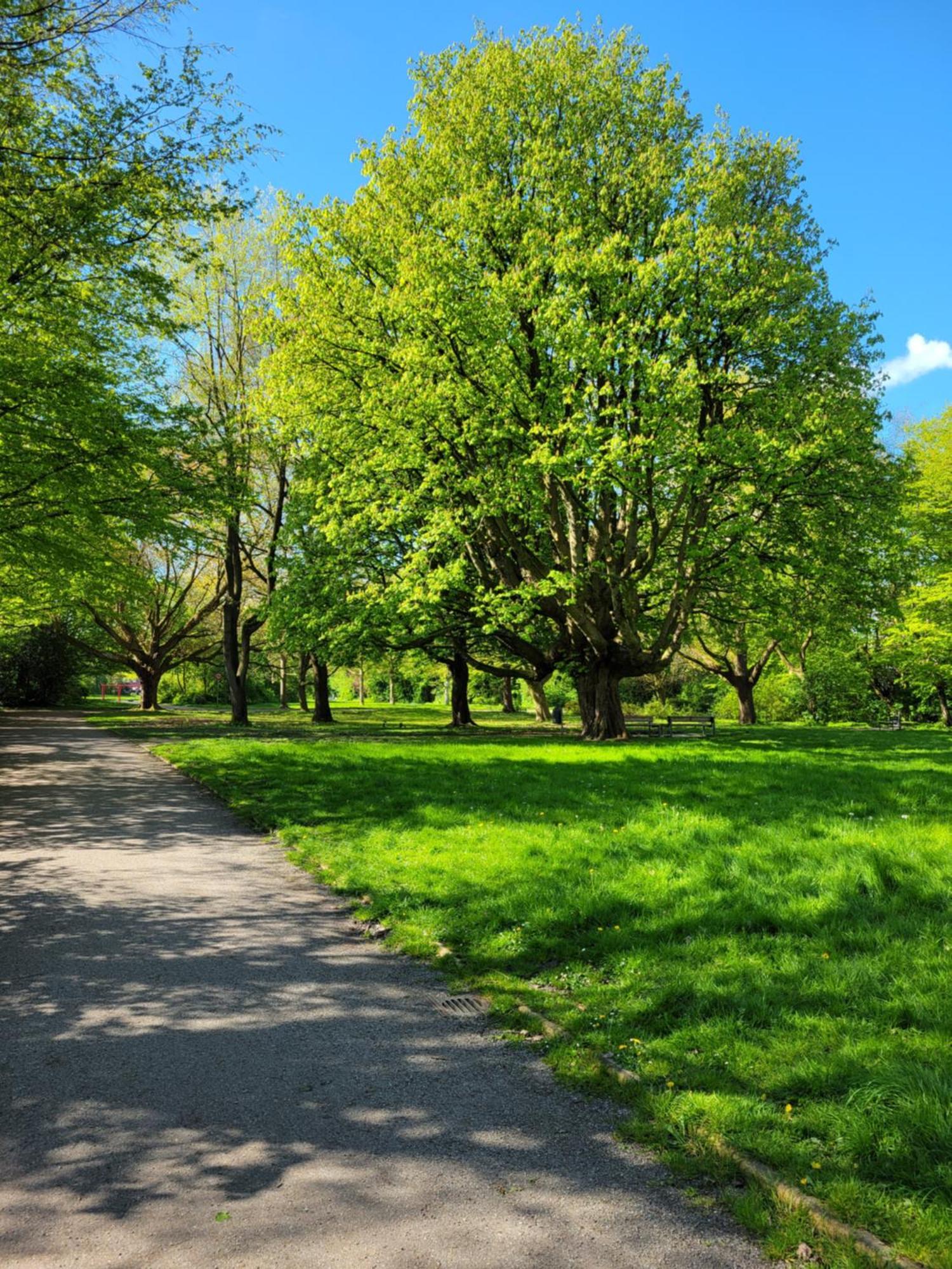 ווילהלמסהאבן Ferienwohnungen Am Park מראה חיצוני תמונה