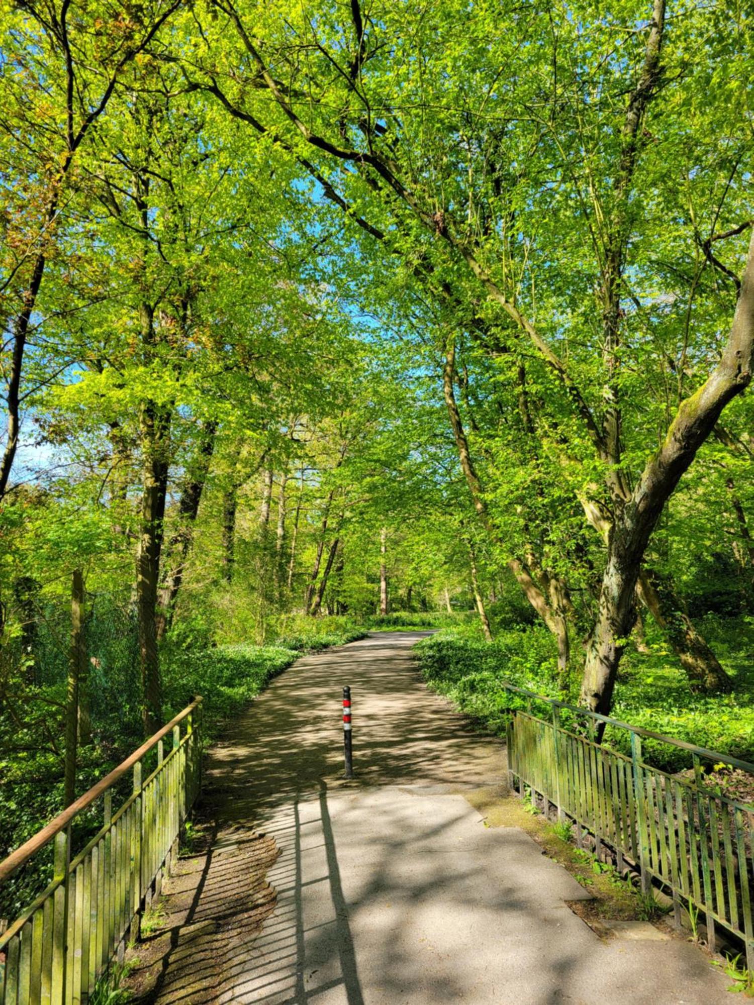 ווילהלמסהאבן Ferienwohnungen Am Park מראה חיצוני תמונה