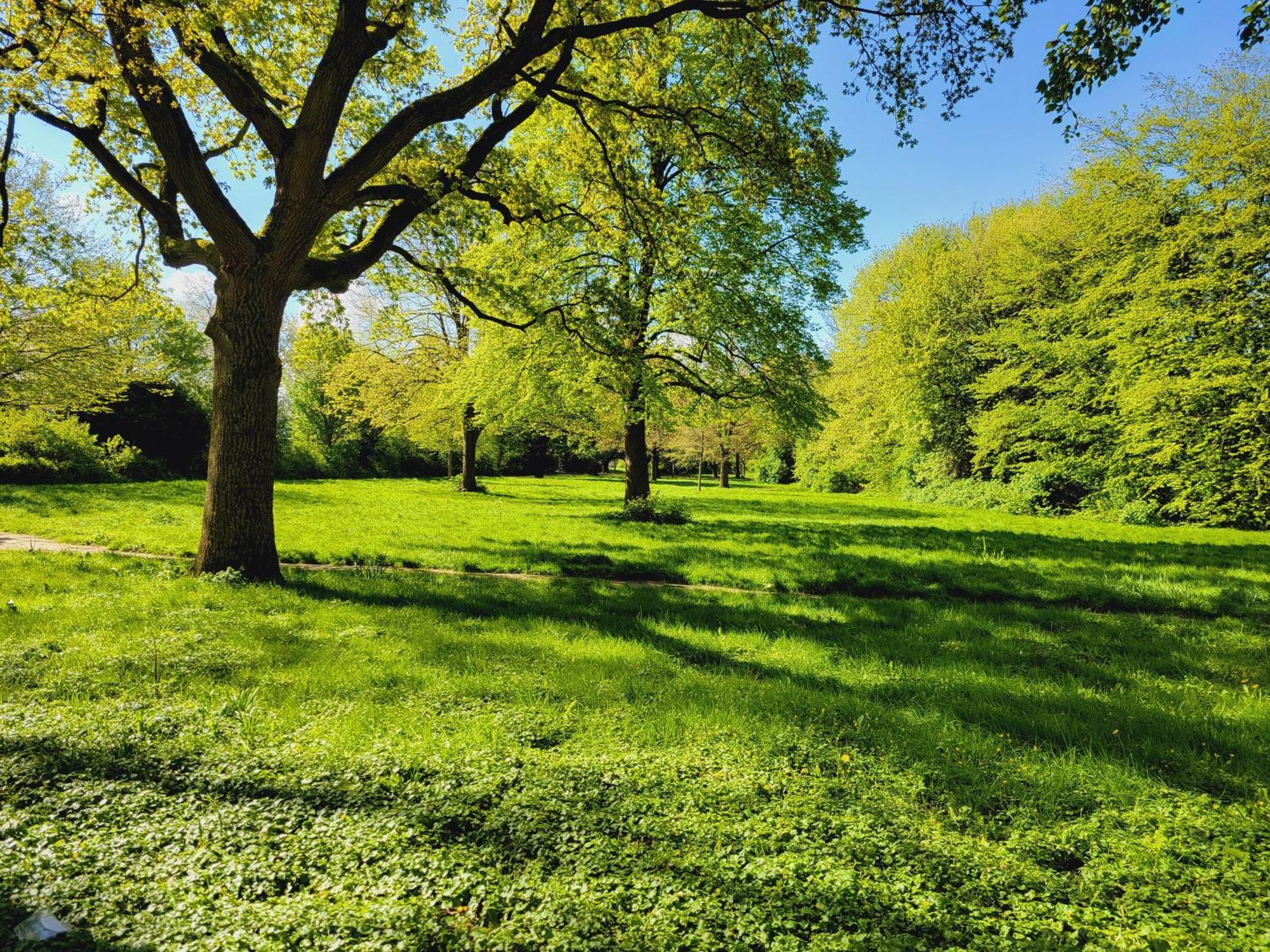ווילהלמסהאבן Ferienwohnungen Am Park מראה חיצוני תמונה